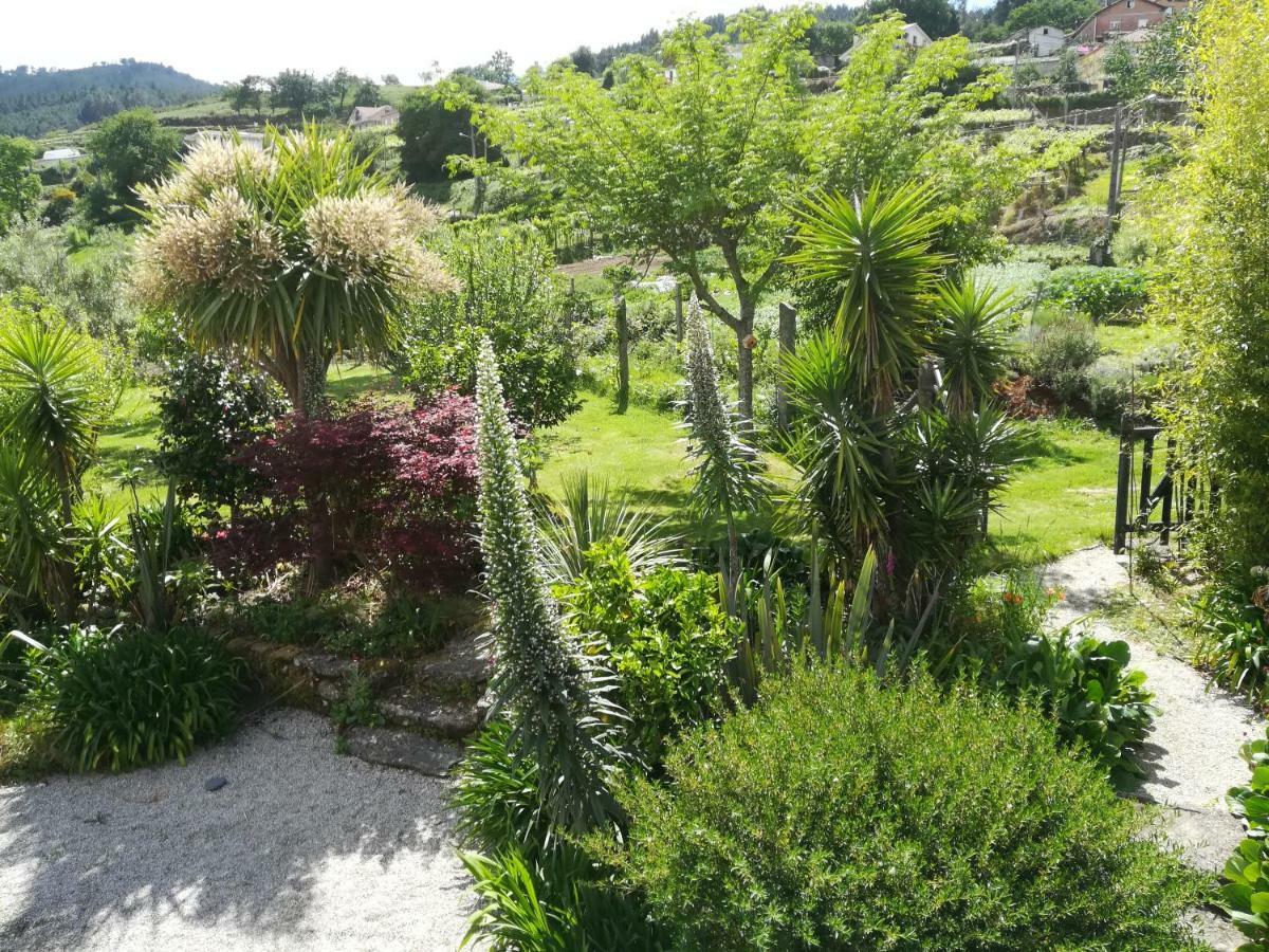Maison d'hôtes O Curralino à Vilacoba Extérieur photo